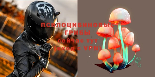 сатива Осинники