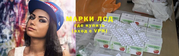 сатива Осинники