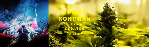 винт Осташков