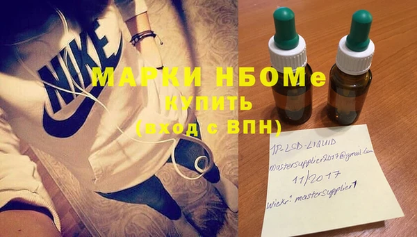 сатива Осинники