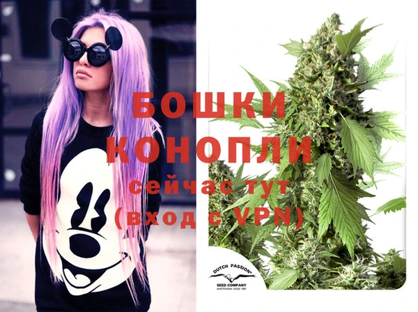 сатива Осинники