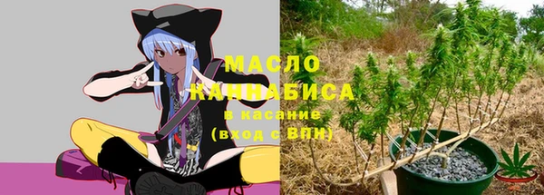 винт Осташков