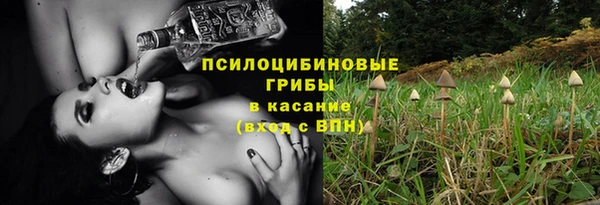 сатива Осинники